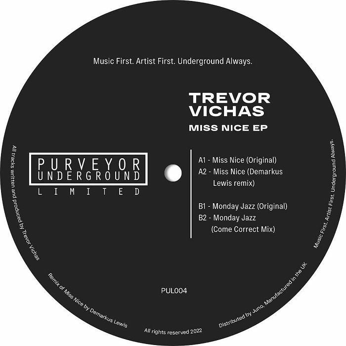 Trevor Vichas - Miss Nice (Demarkus Lewis Remix)