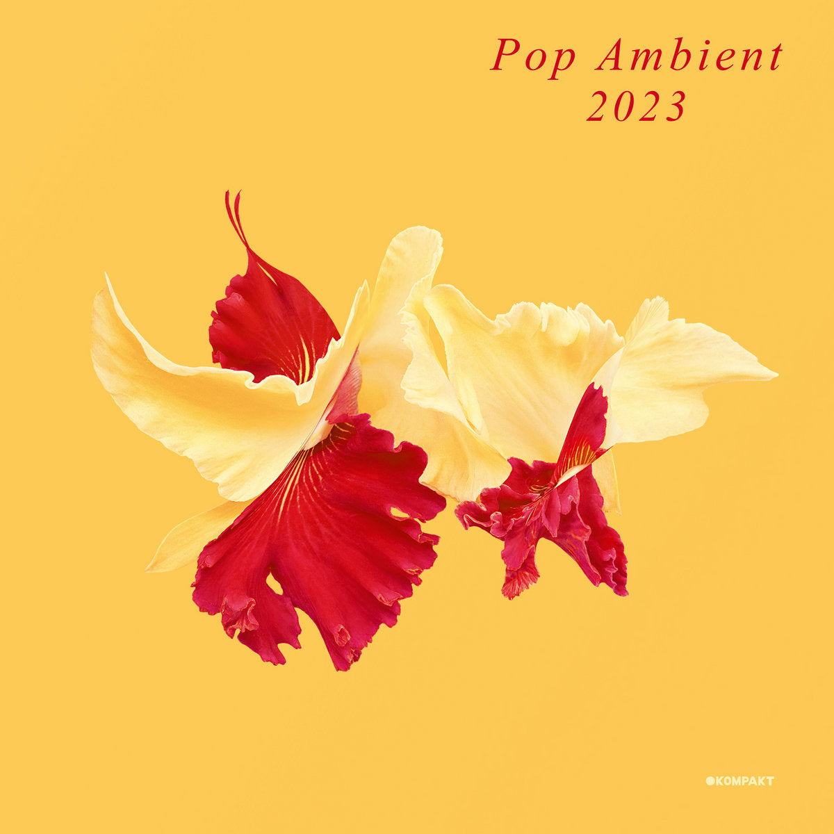 V/A - Pop Ambient 2023