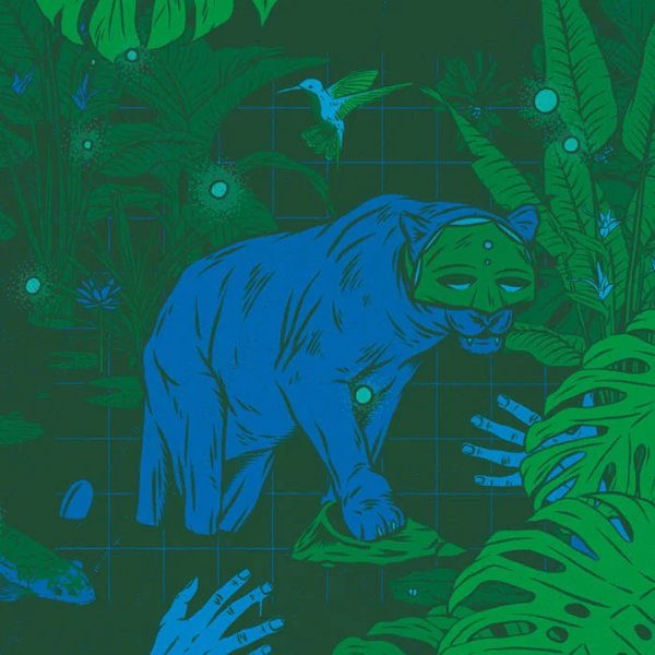 Kind & Kinky Zoo - Swamp!