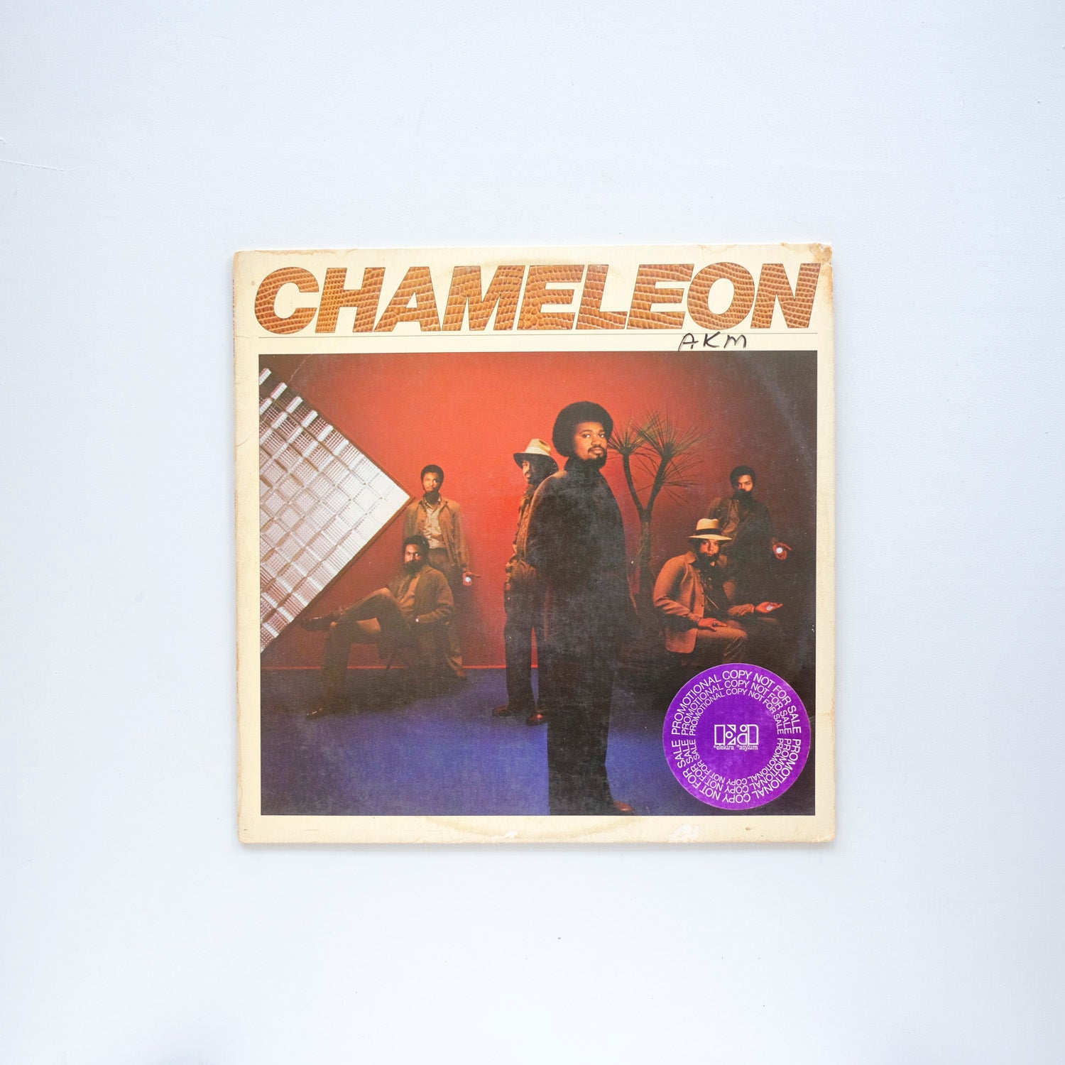Chameleon - S/T