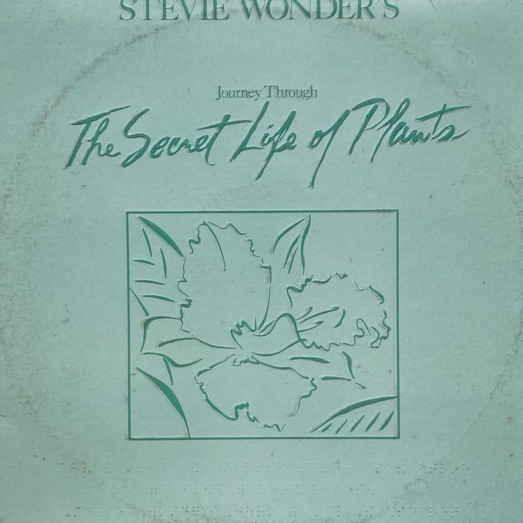 Stevie Wonder's Journey Through The Secret Life of Plants