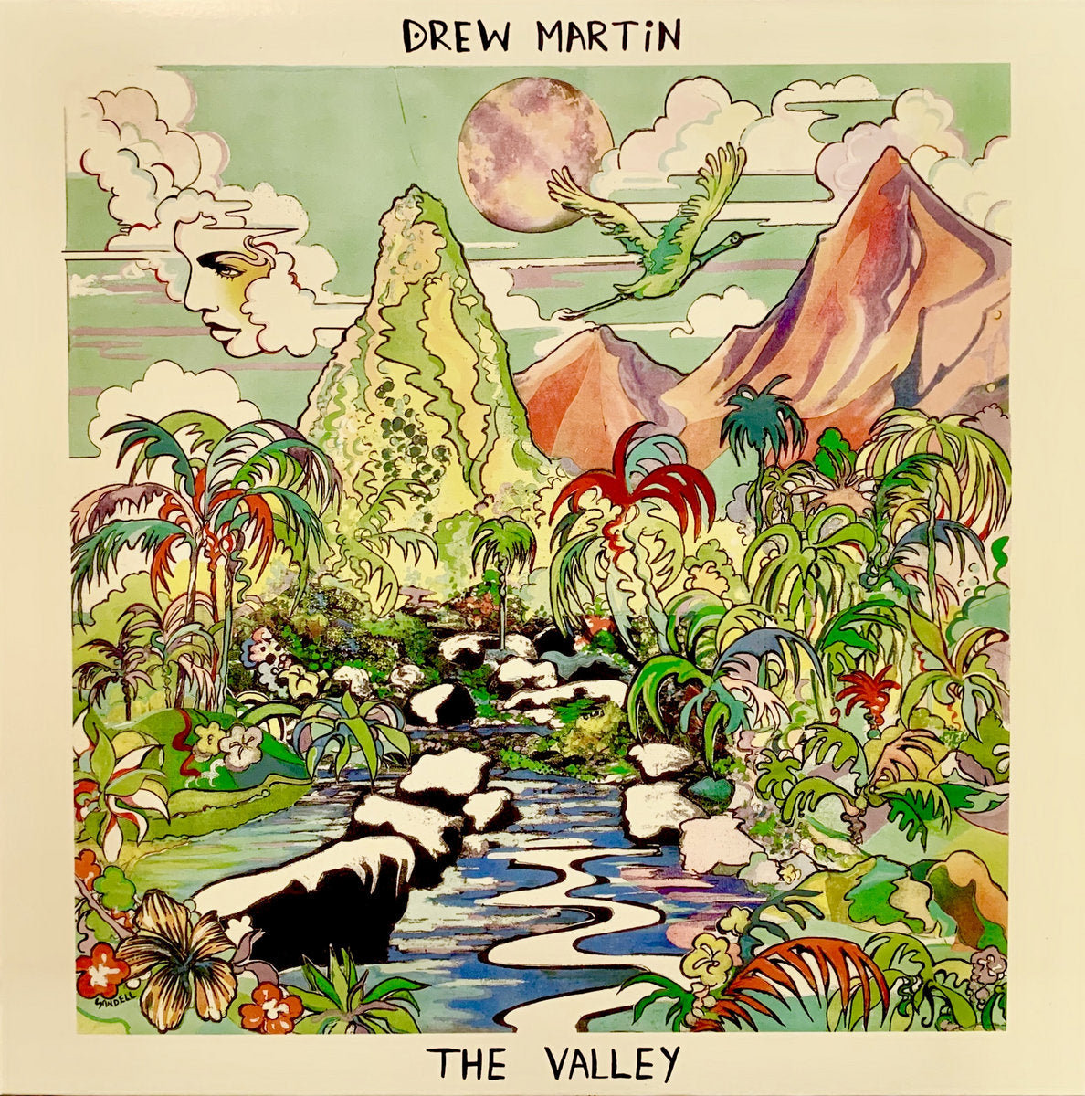 Drew Martin - The Valley