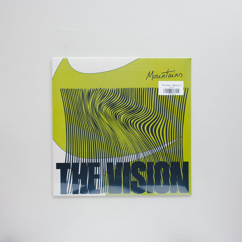 The Vision - Mountains 12"